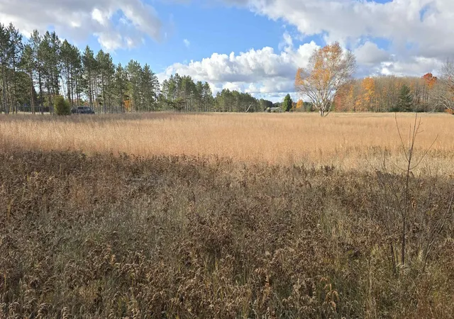 1st image of 1980 & 2022 Us 131 Sw, Kalkaska Township Kalkaska, MI 49680 | MLS# 78080069608