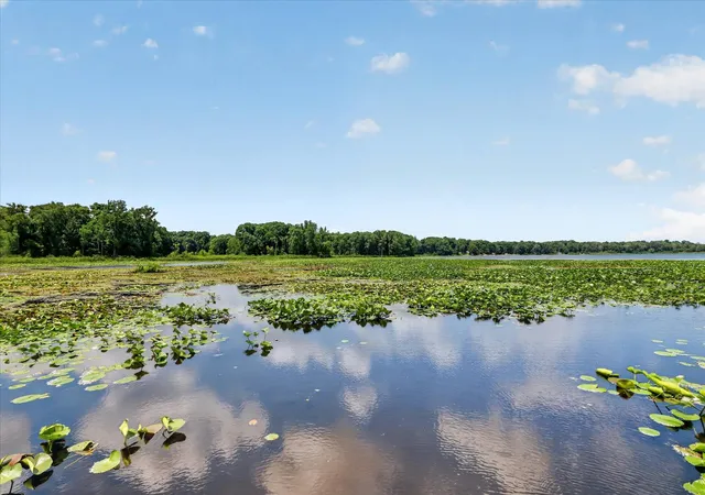 43rd image of 67930 Days Lndg, Sturgis, MI 49091 | MLS# 69026029158