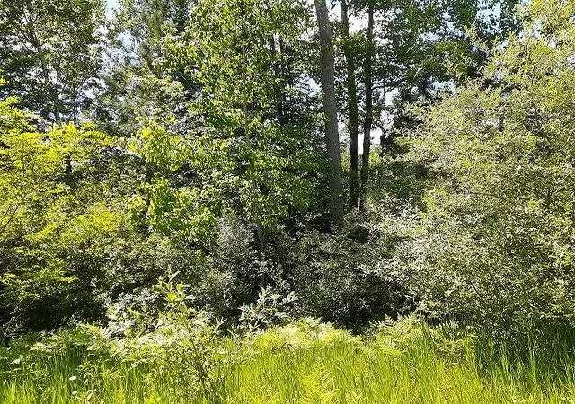 1st image of 0 East Side Dr, Hill Township Ogemaw, MI 48635 | MLS# 77080069632
