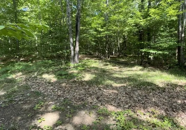 Homes for sale in Norwich Township Missaukee, MI | 4933 E Johnson Rd, Norwich Township Missaukee, MI 49651 | MLS# 78080069635