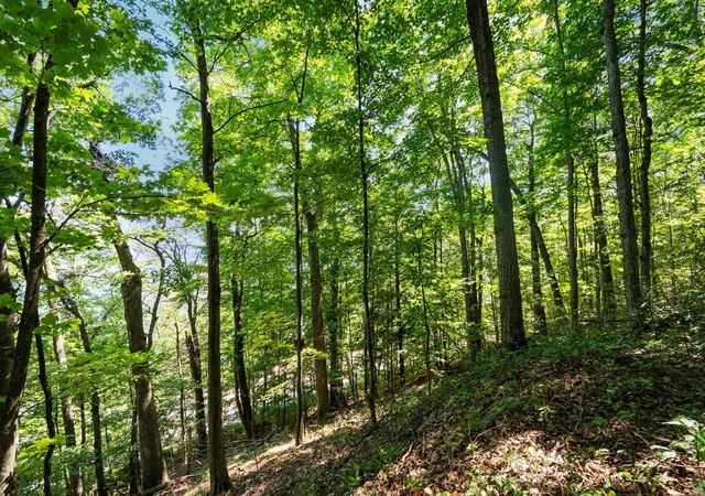 12th image of 00 Center Rd, Peninsula Township Grand Traverse, MI 49686 | MLS# 78080069637