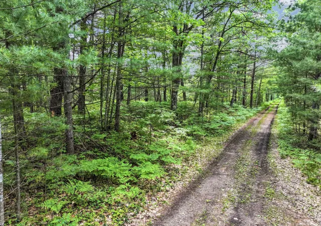 Photo 3 of Land for sale at Parcel A Seeley Rd, Lake Township Missaukee, MI 49651 | MLS# 78080069644 | Listing updated on 2026-08-26