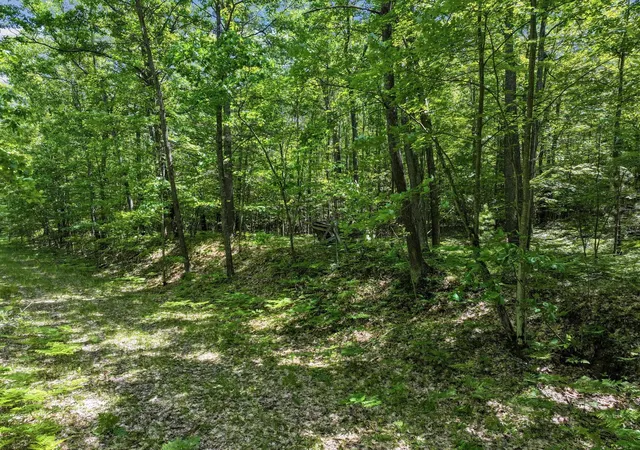 Photo 5 of Land for sale at Parcel A Seeley Rd, Lake Township Missaukee, MI 49651 | MLS# 78080069644 | Listing updated on 2026-08-26