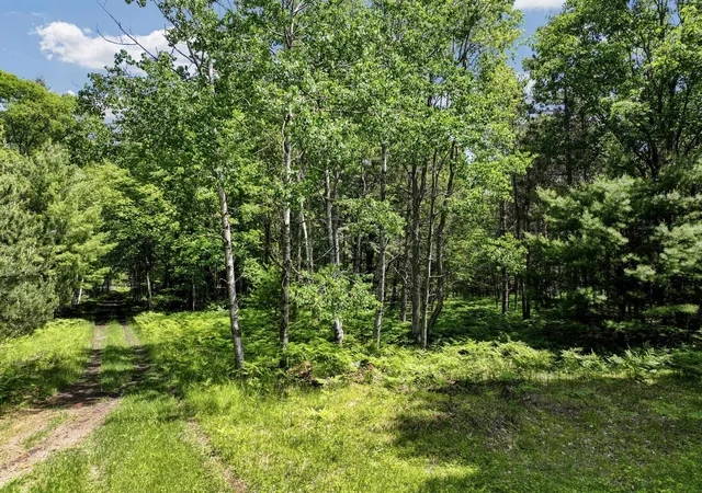Photo 3 of Land for sale at Parcel B Seeley Rd, Lake Township Missaukee, MI 49651 | MLS# 78080069645 | Listing updated on 2026-08-28