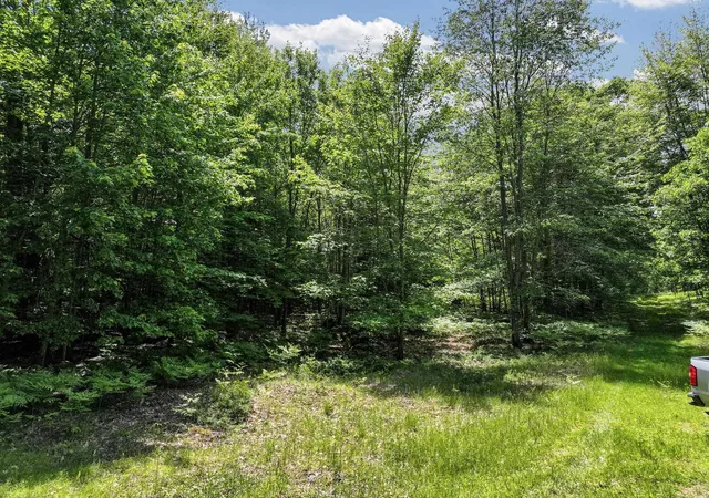Photo 4 of Land for sale at Parcel B Seeley Rd, Lake Township Missaukee, MI 49651 | MLS# 78080069645 | Listing updated on 2026-08-28