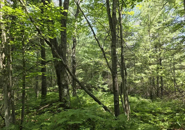 Photo 35 of Land for sale at Parcel C Seeley Rd, Lake Township Missaukee, MI 49651 | MLS# 78080069646 | Listing updated on 2026-08-26