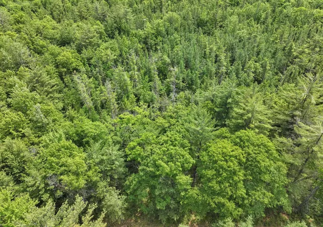 Photo 5 of Land for sale at Parcel C Seeley Rd, Lake Township Missaukee, MI 49651 | MLS# 78080069646 | Listing updated on 2026-08-26