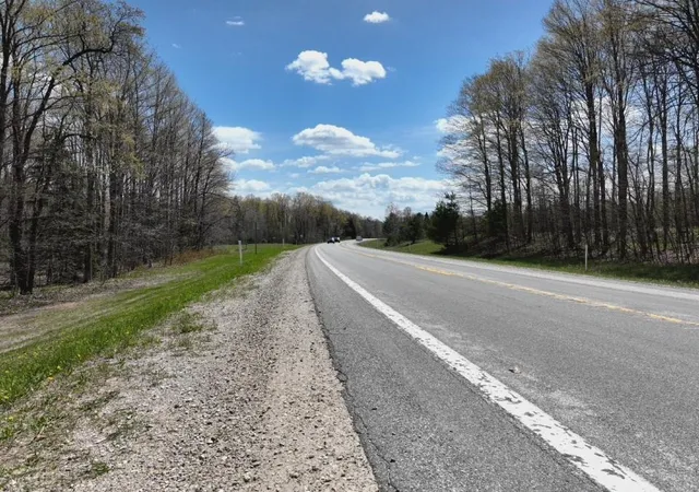 5th image of Parcel 3&4 S M-66, Chestonia Township Antrim, MI 49659 | MLS# 78080069656