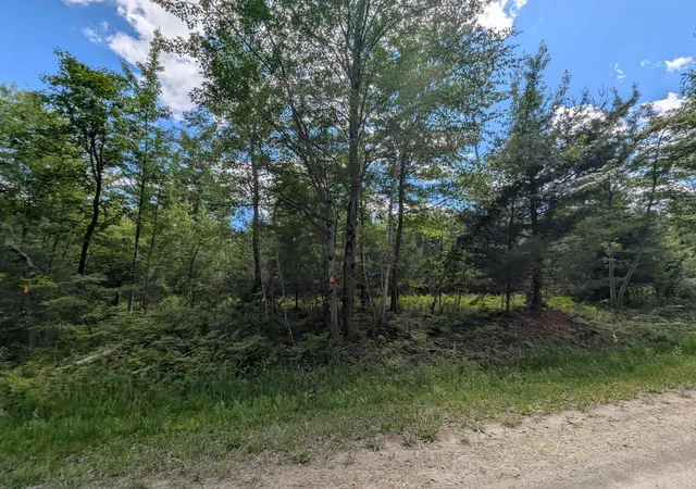 1st image of N/a Bordeau Rd, Standish, MI 48658 | MLS# 77080069662