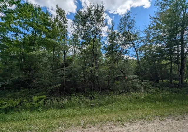 2nd image of N/a Bordeau Rd, Standish, MI 48658 | MLS# 77080069662
