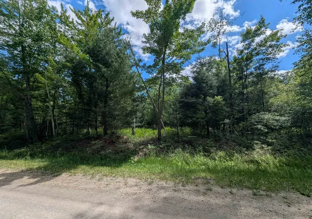 4th image of N/A Bordeau Rd, Standish, MI 48658 | MLS# 77080069662