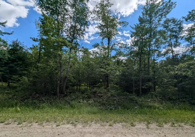 5th image of N/A Bordeau Rd, Standish, MI 48658 | MLS# 77080069662