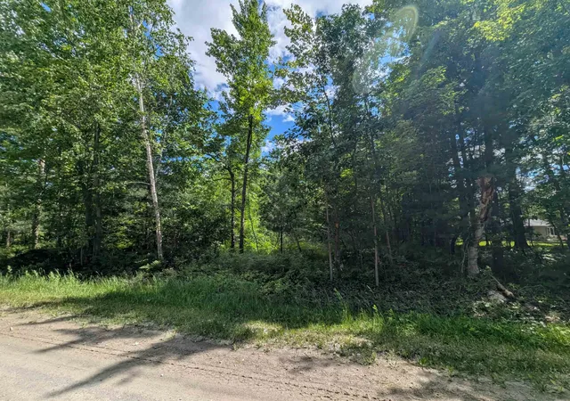 8th image of N/a Bordeau Rd, Standish, MI 48658 | MLS# 77080069662