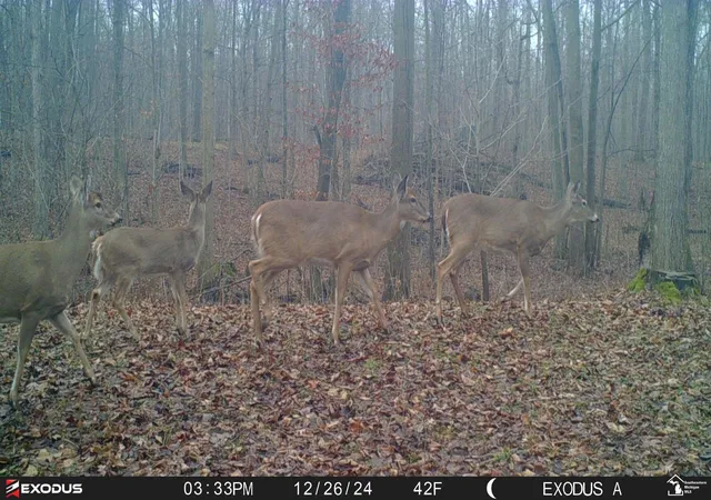 Photo 2 of Land for sale at 0 Schmitz Rd, Chelsea, MI 48118 | MLS# 57050211405 | Listing updated on 2026-06-15