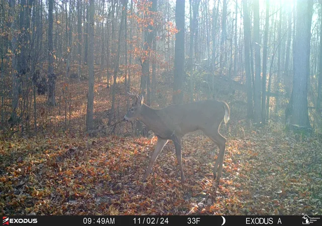 Photo 3 of Land for sale at 0 Schmitz Rd, Chelsea, MI 48118 | MLS# 57050211405 | Listing updated on 2026-06-15