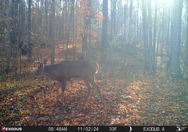 Photo 4 of Land for sale at 0 Schmitz Rd, Chelsea, MI 48118 | MLS# 57050211405 | Listing updated on 2026-06-15