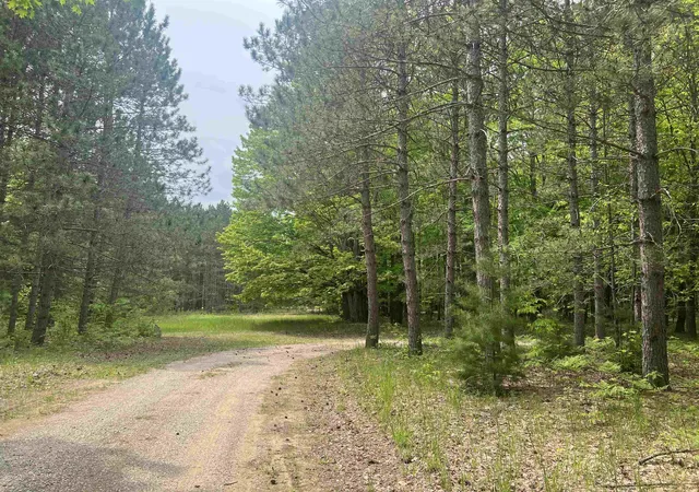 59th image of 135 Montgomery Rd, South Boardman, MI 49680 | MLS# 79080069683