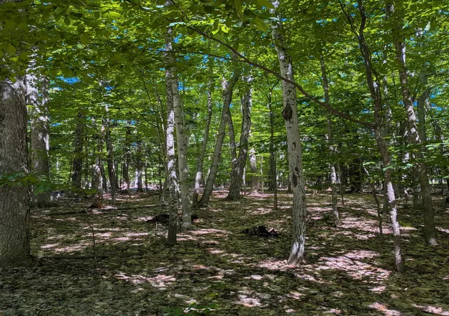 1st image of M 48, Pickford Township Chippewa, MI 49774 | MLS# 78080069707
