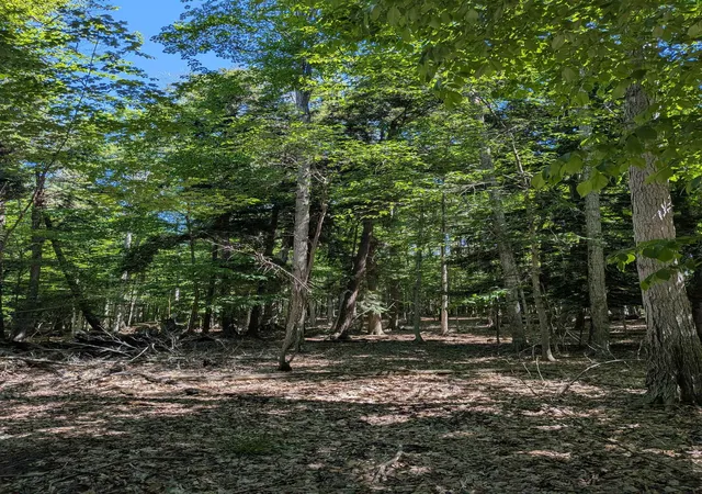 2nd image of M 48, Pickford Township Chippewa, MI 49774 | MLS# 78080069707