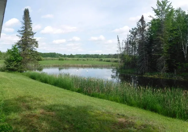 Photo 3 of Land for sale at 4781 Alvin Rd, Glennie, MI 48737 | MLS# 77080069717 | Listing updated on 2026-06-18