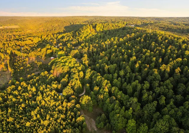 4th image of A Retreats Wy, Clearwater Township Kalkaska, MI 49676 | MLS# 78080069727