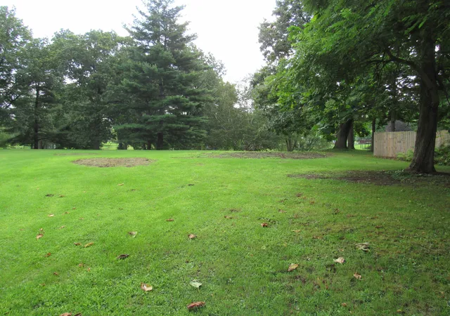 Photo 4 of Single family home for sale at 161 Palmer Ave, Colon, MI 49040 | MLS# 68026029539 | Listing updated on 2026-08-19