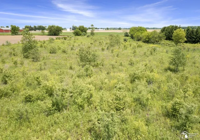 Photo 4 of Land for sale at 3993 Lewis Ave, Ida, MI 48140 | MLS# 57050211537 | Listing updated on 2026-06-16
