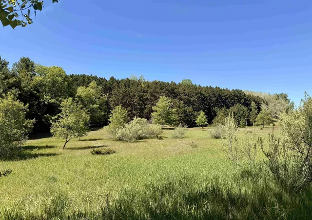 Homes for sale in Cleveland Township Leelanau, MI | 6a S Lime Lake Rd, Cleveland Township Leelanau, MI 49621 | MLS# 78080069765