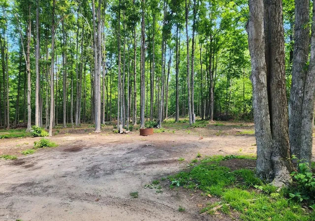 4th image of 9955 Greenway Dr, Frederic, MI 49733 | MLS# 5050211603