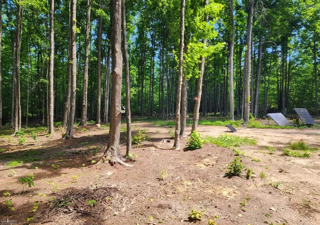 5th image of 9955 Greenway Dr, Frederic, MI 49733 | MLS# 5050211603