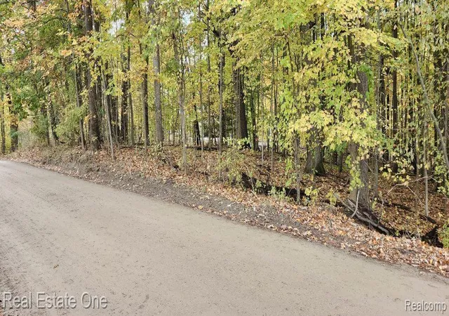 1st image of 0000 Curtis Rd Curtis Rd, Leonard, MI 48367 | MLS# 20261045428