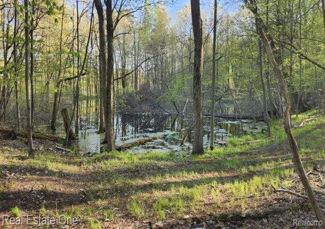 4th image of 0000 Curtis Rd Curtis Rd, Leonard, MI 48367 | MLS# 20261045428