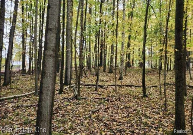 5th image of 0000 Curtis Rd Curtis Rd, Leonard, MI 48367 | MLS# 20261045428