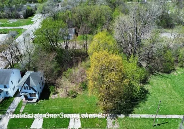 Photo 4 of Land for sale at 1317 S Park Ave, Saginaw, MI 48601 | MLS# 61050211682 | Listing updated on 2026-07-29