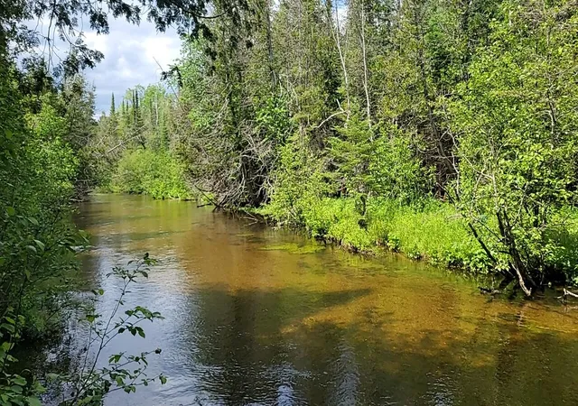Photo 1 of Land for sale at W Batterson Rd, Frederic, MI 49733 | MLS# 78080069825 | Listing updated on 2026-06-20