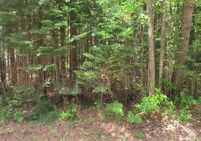Photo 2 of Land for sale at W Batterson Rd, Frederic, MI 49733 | MLS# 78080069825 | Listing updated on 2026-06-20