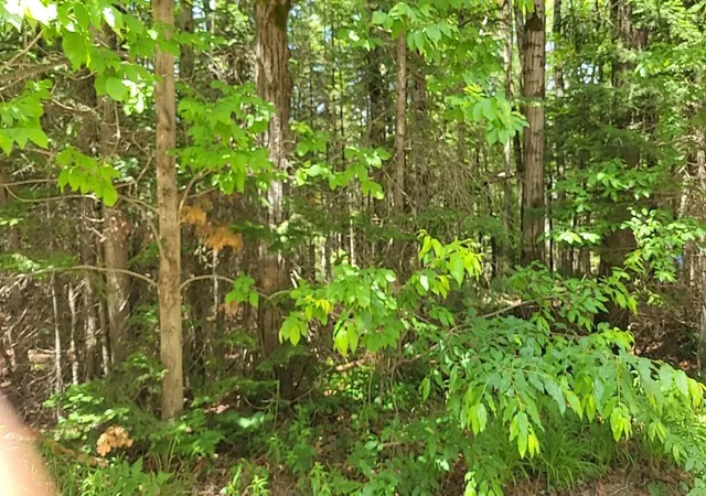 Photo 3 of Land for sale at W Batterson Rd, Frederic, MI 49733 | MLS# 78080069825 | Listing updated on 2026-06-20