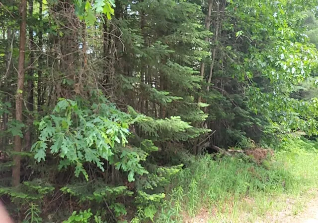 Photo 4 of Land for sale at W Batterson Rd, Frederic, MI 49733 | MLS# 78080069825 | Listing updated on 2026-06-20
