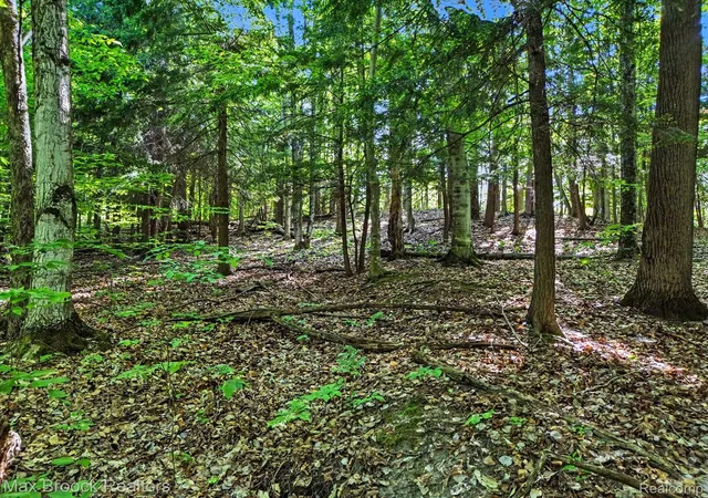 1st image of 125 Legend Trail, Bellaire, MI 49615 | MLS# 20261045692