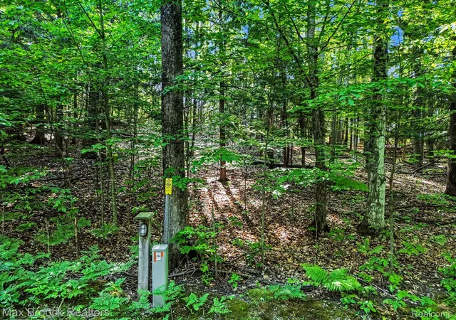 2nd image of 125 Legend Trail, Bellaire, MI 49615 | MLS# 20261045692