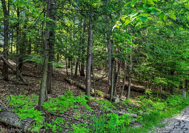 3rd image of 125 Legend Trail, Bellaire, MI 49615 | MLS# 20261045692
