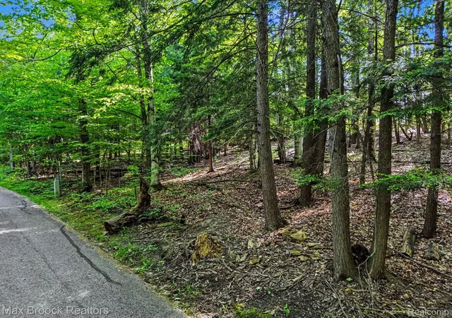 4th image of 125 Legend Trail, Bellaire, MI 49615 | MLS# 20261045692