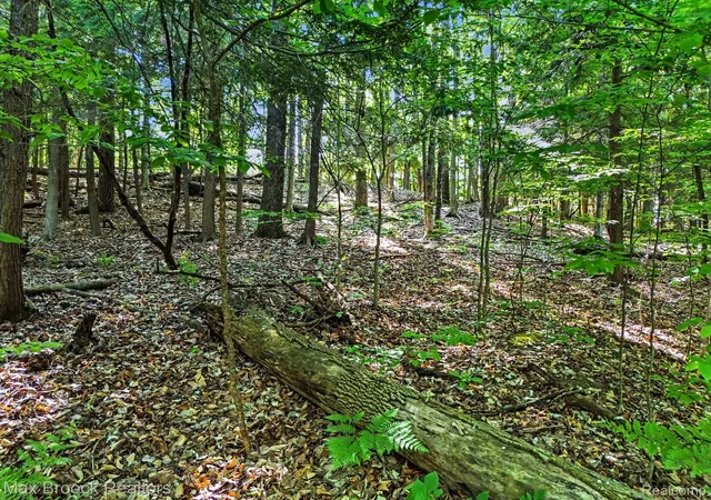 5th image of 125 Legend Trail, Bellaire, MI 49615 | MLS# 20261045692