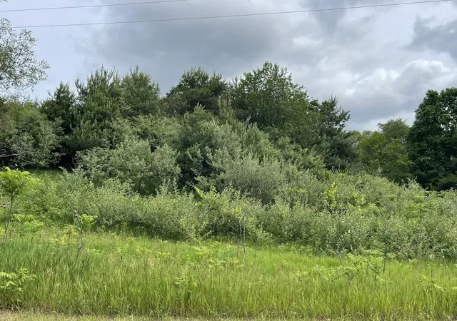 Photo 3 of Land for sale at 183a Smith Rd, East Bay Township Grand Traverse, MI 49696 | MLS# 79080069878 | Listing updated on 2026-06-21