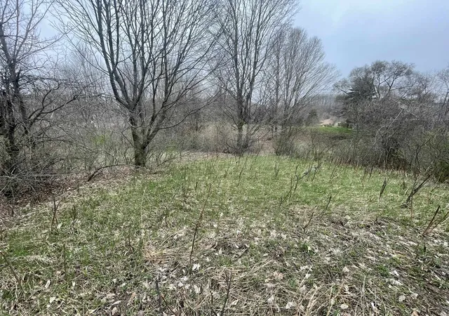 Photo 4 of Land for sale at 183a Smith Rd, East Bay Township Grand Traverse, MI 49696 | MLS# 79080069878 | Listing updated on 2026-06-21