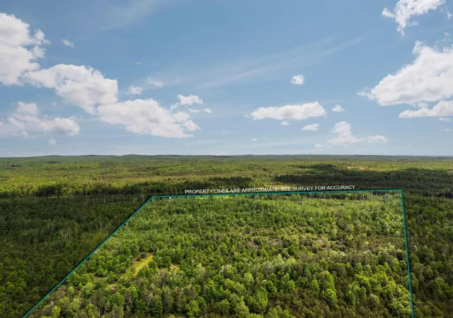 Photo 1 of Land for sale at 4011 W Forest Rd, Lake City, MI 49651 | MLS# 78080069879 | Listing updated on 2026-06-21