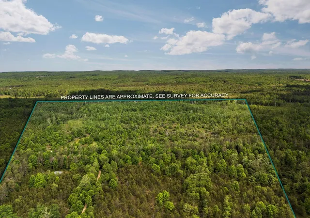 Photo 2 of Land for sale at 4011 W Forest Rd, Lake City, MI 49651 | MLS# 78080069879 | Listing updated on 2026-06-21