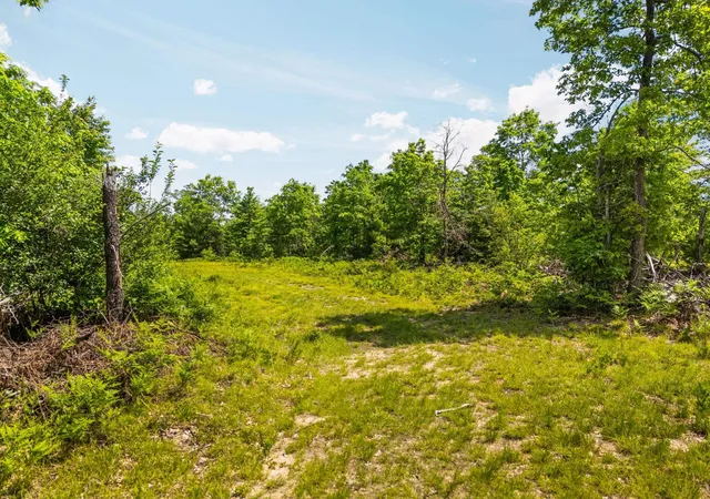 Photo 36 of Land for sale at 4011 W Forest Rd, Lake City, MI 49651 | MLS# 78080069879 | Listing updated on 2026-06-21