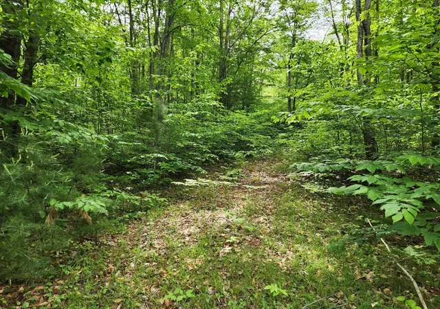 1st image of 10 Acres Blue Lake Road, Ne, Blue Lake Township Kalkaska, MI 49646 | MLS# 78080069886