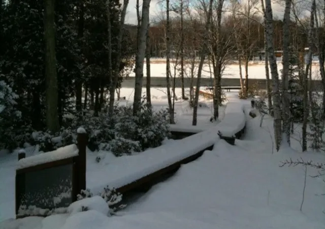 83rd image of 407 N Twin Pines Dr, Lake Leelanau, MI 49653 | MLS# 78080069898